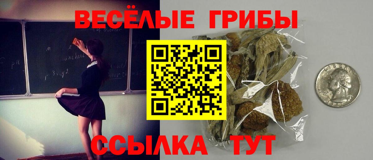 Галлюциногенные грибы Psilocybe Ульяновск