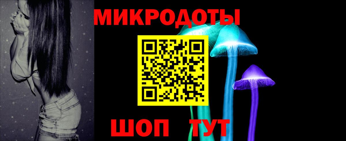 Псилоцибиновые грибы Psilocybine cubensis  Вход с VPN  Ульяновск 